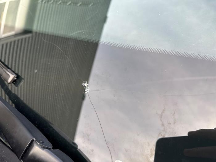 Renault Trafic 1.6 dCi 125 Twin Turbo Schadevoertuig (2019)