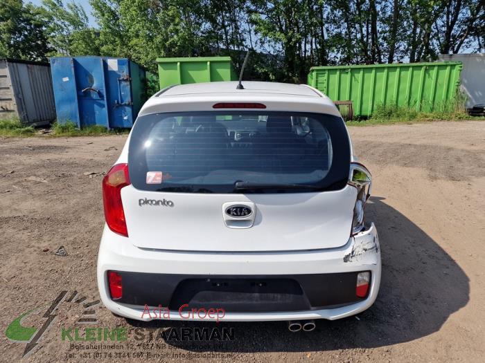 Kia Picanto 1.2 16V Sloopvoertuig (2012, Wit)