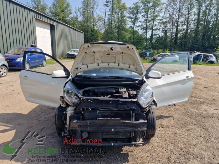 Kia Picanto 1.2 16V Sloopvoertuig (2012, Wit)