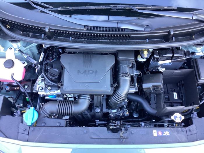 Kia Picanto 1.0 DPI 12V Sloopvoertuig (2025, Groen)