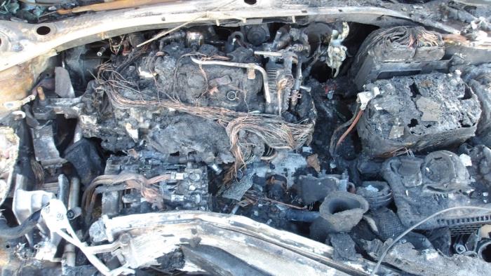 Kia Ceed Sportswagon 1.0i T-GDi 12V 120 Eco-Dynamics+ Sloopvoertuig (2022, Bruin)