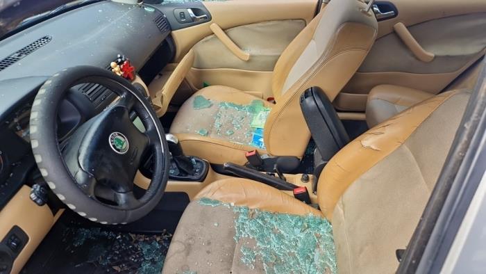 Skoda Octavia Samochód złomowany (2004, Szary)