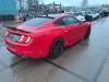 Ford Usa Mustang VI Fastback 5.0 GT Ecoboost V8 32V Skrotfordon (2020, ROOD)