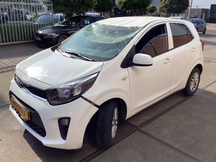 Kia Picanto 1.0 DPi 12V Skrotfordon (2022, WIT)
