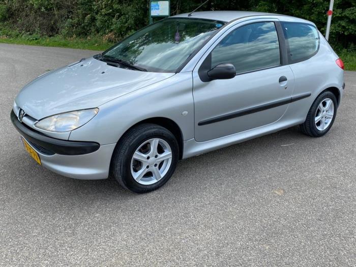 Peugeot 206 1.4 XR,XS,XT,Gentry Samochód złomowany (2002, Szary)