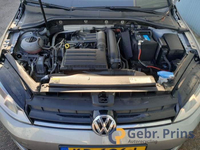 Volkswagen Golf VII 1.2 TSI 16V Skrotfordon (2016, GRIJS)