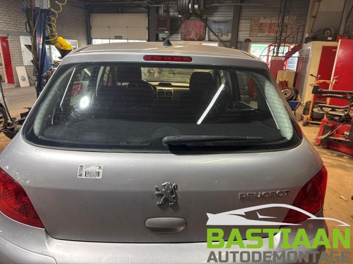 Peugeot 307 1.6 HDi 16V Sloopvoertuig (2006, Grijs)