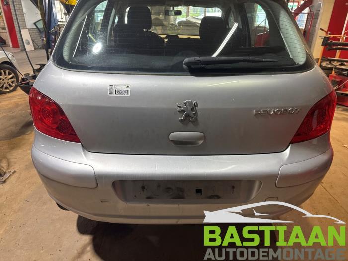 Peugeot 307 1.6 HDi 16V Sloopvoertuig (2006, Grijs)