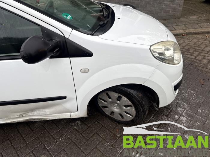 Renault Twingo II 1.2 Skrotfordon (2009, WIT)