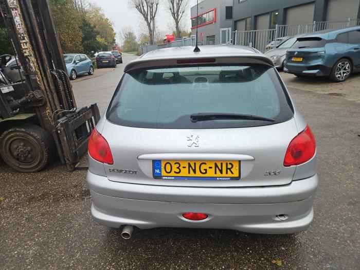 Peugeot 206 1.6 16V Sloopvoertuig (2003, Grijs)