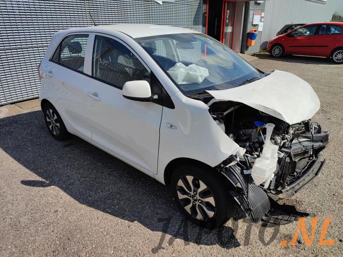 Kia Picanto 1.0 12V Sloopvoertuig (2016, Wit)