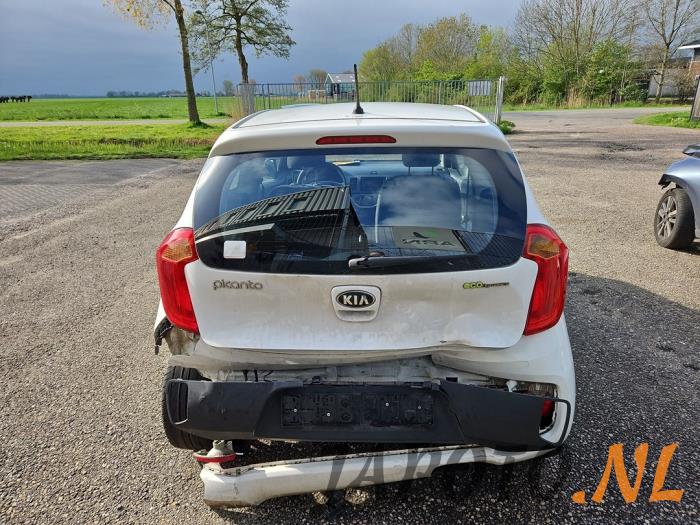 Kia Picanto 1.0 12V Samochód złomowany (2013, Bialy)