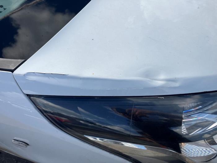 Renault Trafic 1.6 dCi 90 Sloopvoertuig (2016)