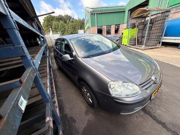 Volkswagen Golf V 1.4 16V Sloopvoertuig (2005, Grijs)