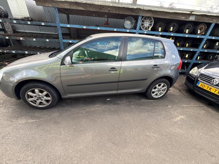 Volkswagen Golf V 1.4 16V Sloopvoertuig (2005, Grijs)