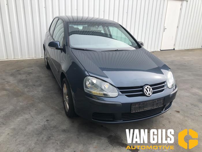 Volkswagen Golf V 1.4 16V Skrotfordon (2004, BLAUW)