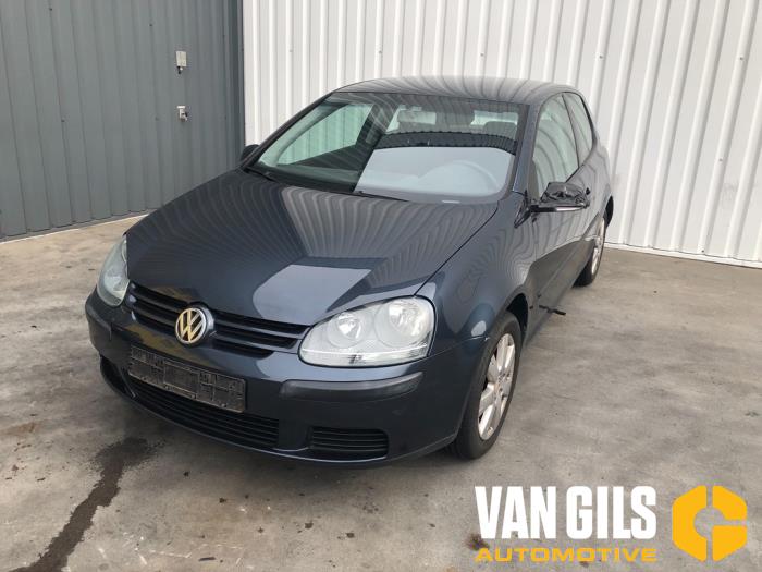 Volkswagen Golf V 1.4 16V Skrotfordon (2004, BLAUW)