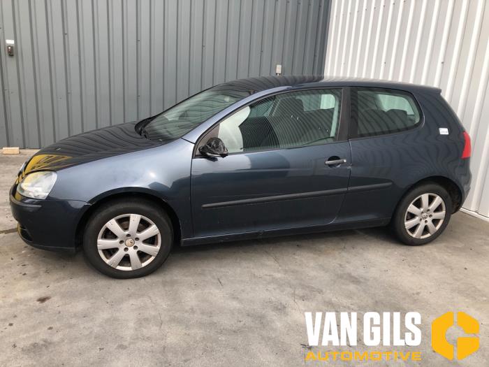 Volkswagen Golf V 1.4 16V Skrotfordon (2004, BLAUW)