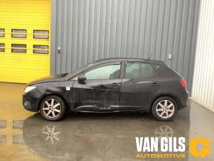 Seat Ibiza IV 1.2 12V  (Schade)