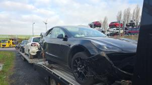 Tesla Model 3 Standard RWD Plus, Long Range RWD  (Sloop)