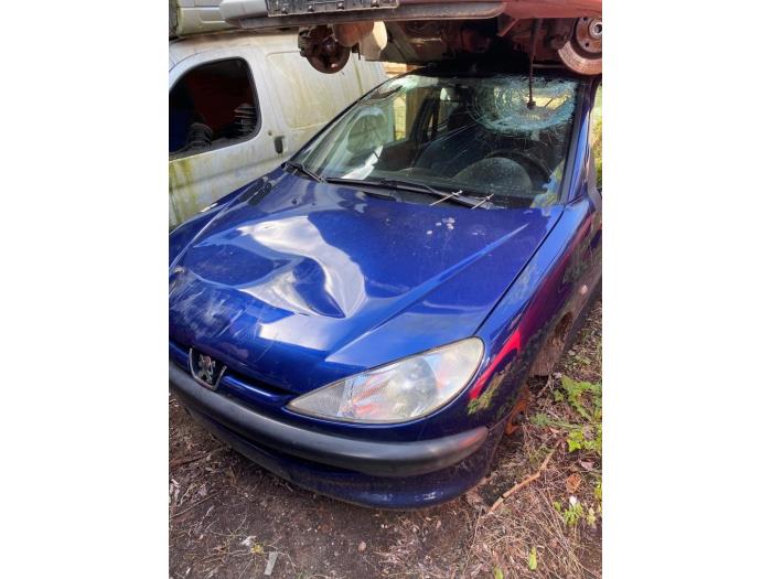 Peugeot 206 1.4 XR,XS,XT,Gentry Skrotfordon (2000, BLAUW)