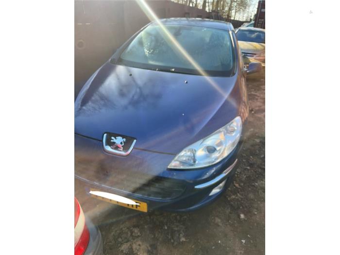 Peugeot 407 2.0 16V Skrotfordon (2004, BLAUW)