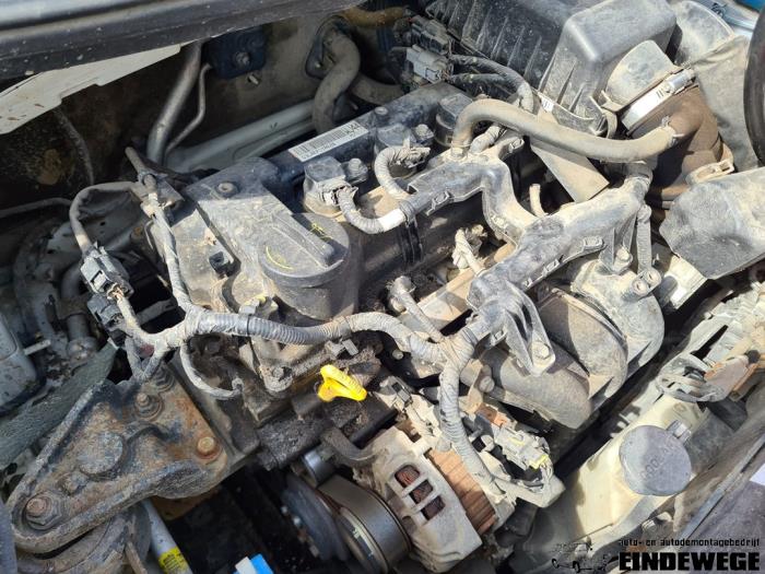 Kia Picanto 1.0 12V Sloopvoertuig (2015, Wit)