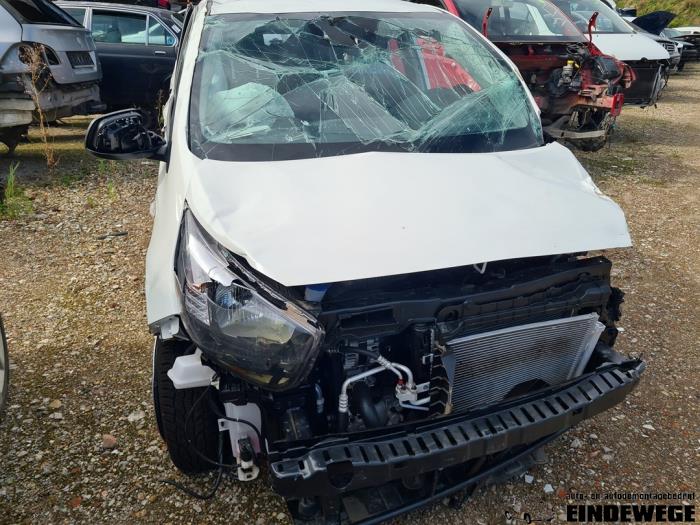 Kia Picanto 1.0 12V Sloopvoertuig (2023, Wit)