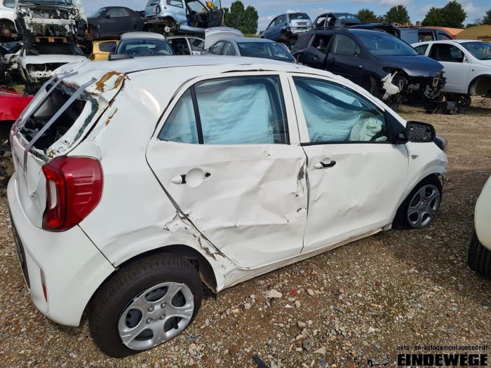 Kia Picanto 1.0 12V Sloopvoertuig (2023, Wit)