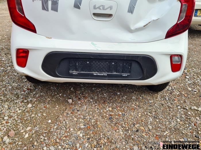 Kia Picanto 1.0 12V Sloopvoertuig (2023, Wit)