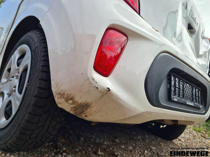 Kia Picanto 1.0 12V Sloopvoertuig (2023, Wit)