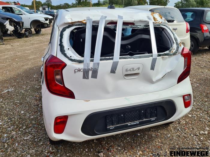 Kia Picanto 1.0 12V Sloopvoertuig (2023, Wit)