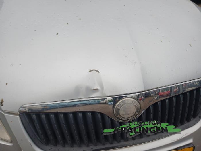 Skoda Fabia II 1.4i 16V Sloopvoertuig (2009, Grijs)