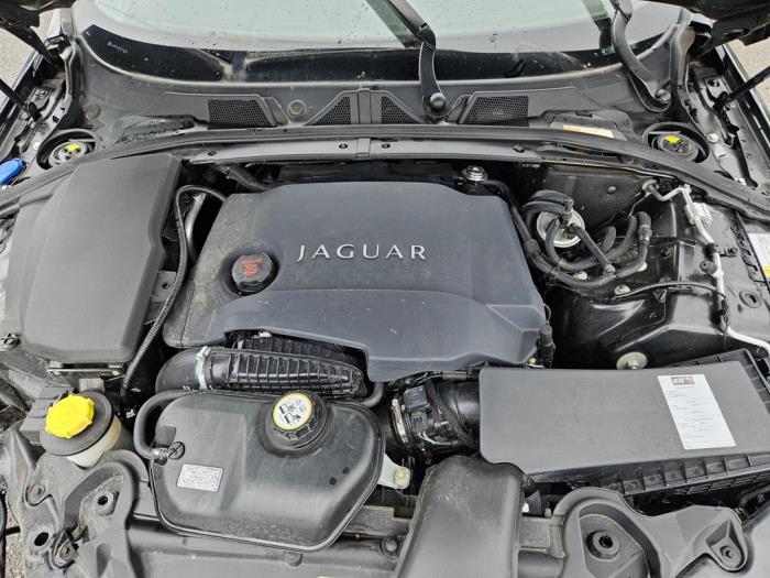 Jaguar XF 3.0 D V6 24V Sloopvoertuig (2009, Zwart)
