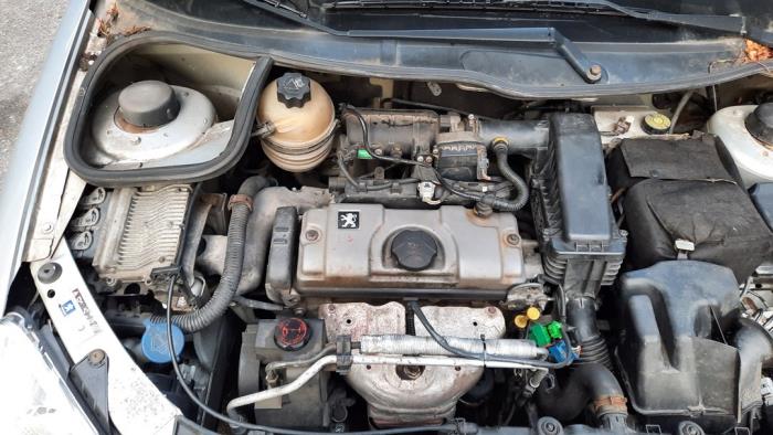 Peugeot 206 1.4 XR,XS,XT,Gentry Skrotfordon (2006, GRIJS)