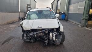 Jeep Renegade 1.6 Multijet 16V  (Sloop)