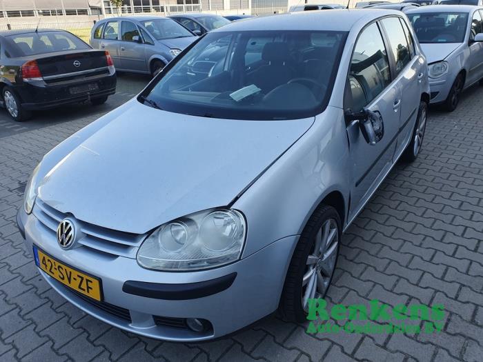 Volkswagen Golf V 1.6 FSI 16V Sloopvoertuig (2006, Zilver)