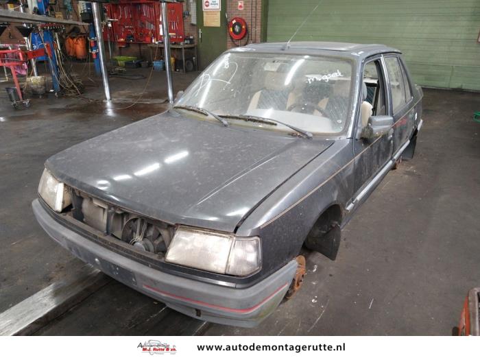 Peugeot 309 (V98182)