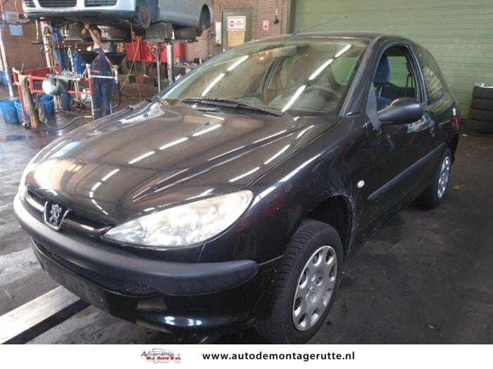 Peugeot 206 (V106829)