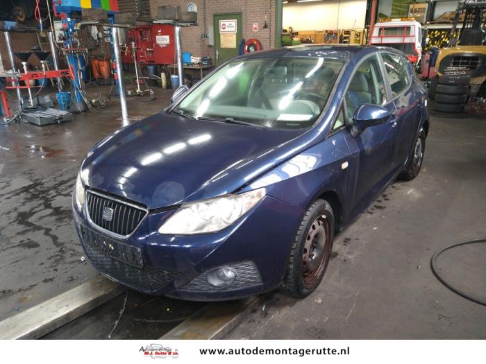 Seat Ibiza (V107819)