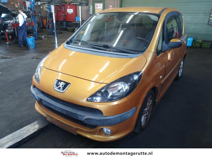Peugeot 1007 (V108060)