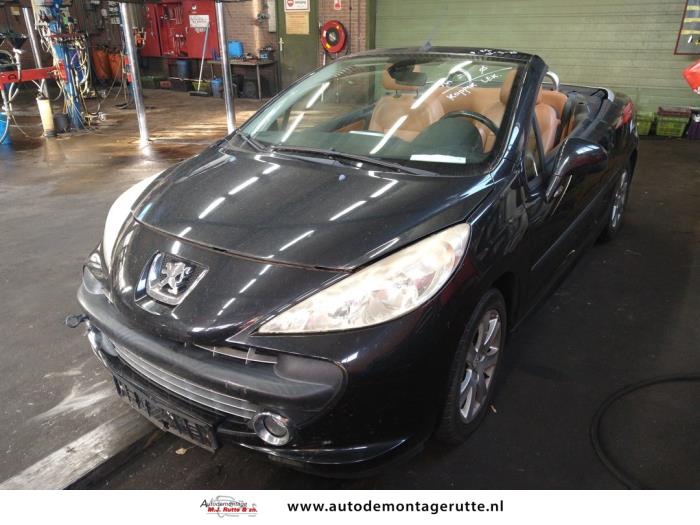 Peugeot 207 (V108073)
