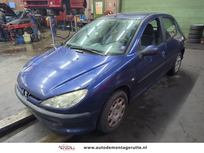 Peugeot 206 1.4 XR,XS,XT,Gentry Sloopvoertuig (2005, Blauw)