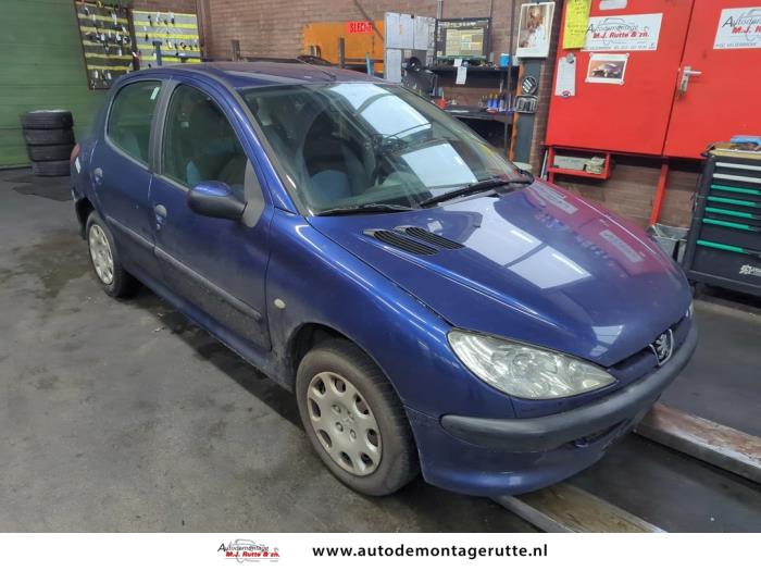Peugeot 206 1.4 XR,XS,XT,Gentry Sloopvoertuig (2005, Blauw)
