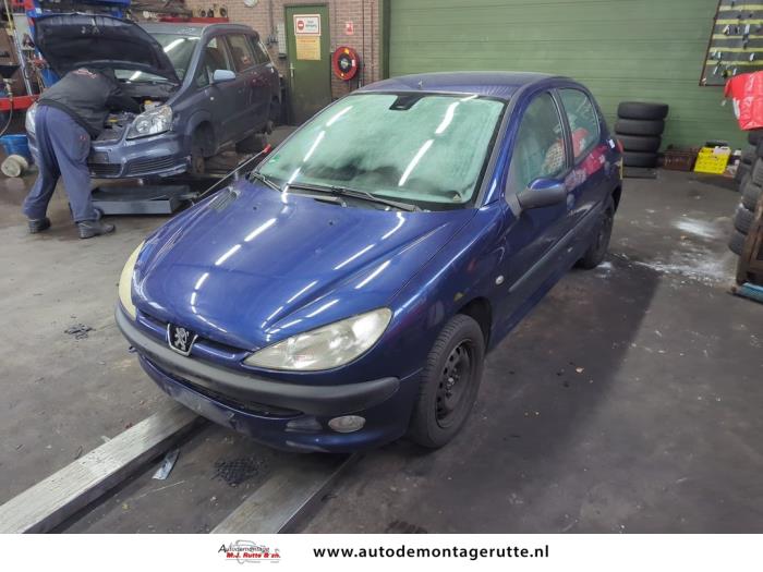 Peugeot 206 (V109079)