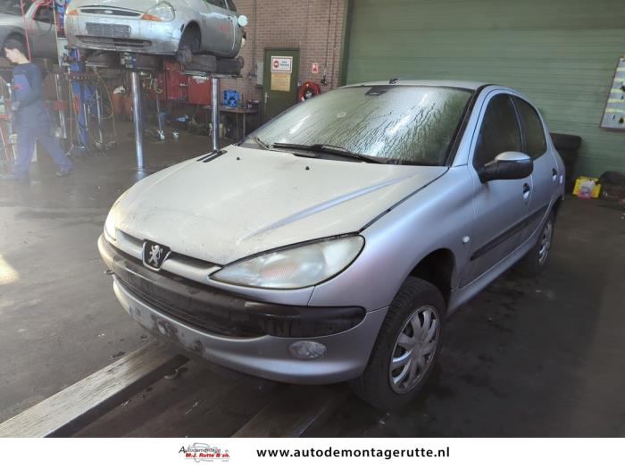 Peugeot 206 (V109195)