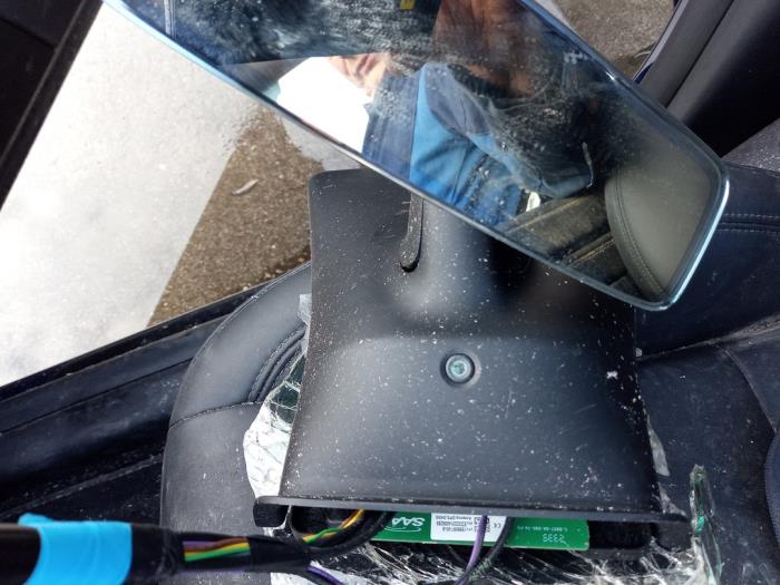 Tesla Model Y RWD Skrotfordon (2024, BLAUW)