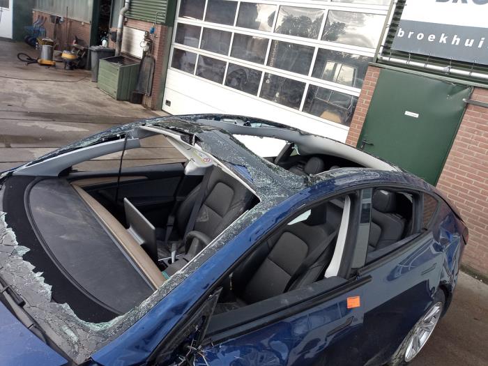 Tesla Model Y RWD Skrotfordon (2024, BLAUW)