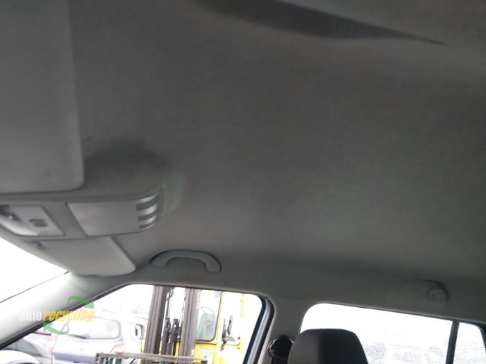 Skoda Fabia II Combi 1.2 TDI 12V Greenline Sloopvoertuig (2010, Blauw)