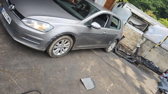 Volkswagen Golf VII 1.6 TDI 16V Sloopvoertuig (2013, Grijs)